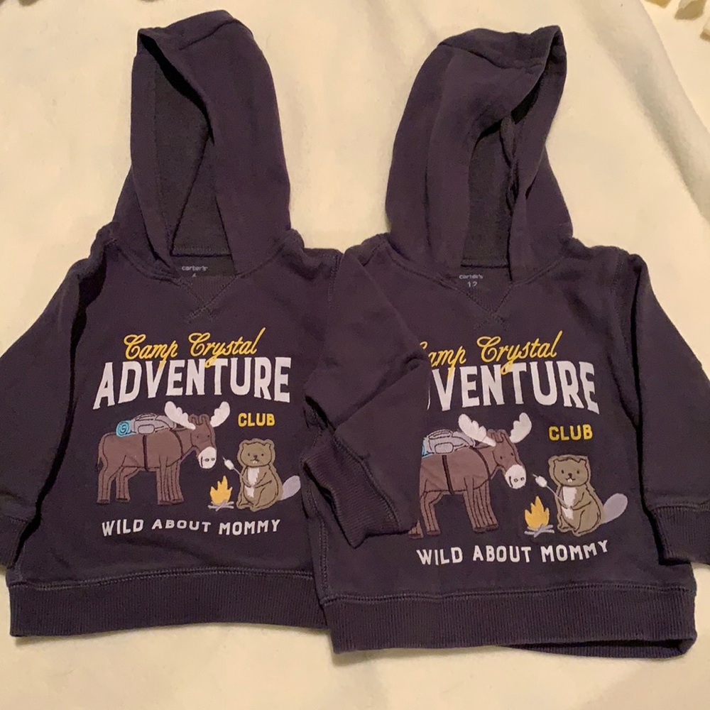Matching Hooded Sweatshirts - mixed sizes 6 & 12 months